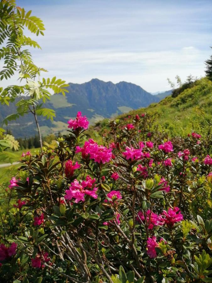 Stocker'S Wohlfuehlapartments Reith im Alpbachtal Luaran gambar